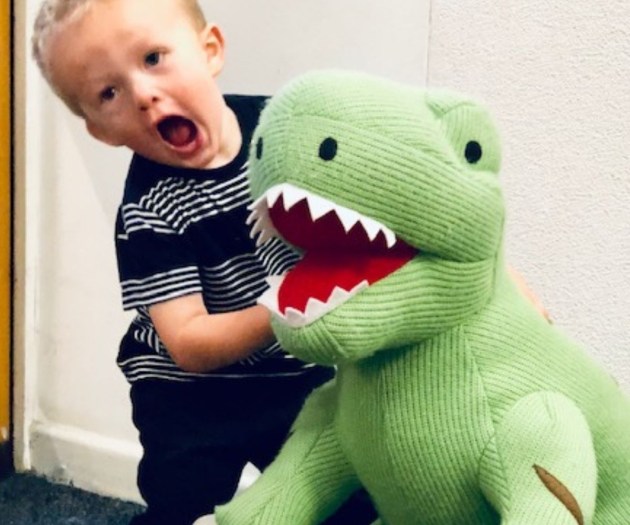 Giant knitted green T rex dinosaur toy and young boy